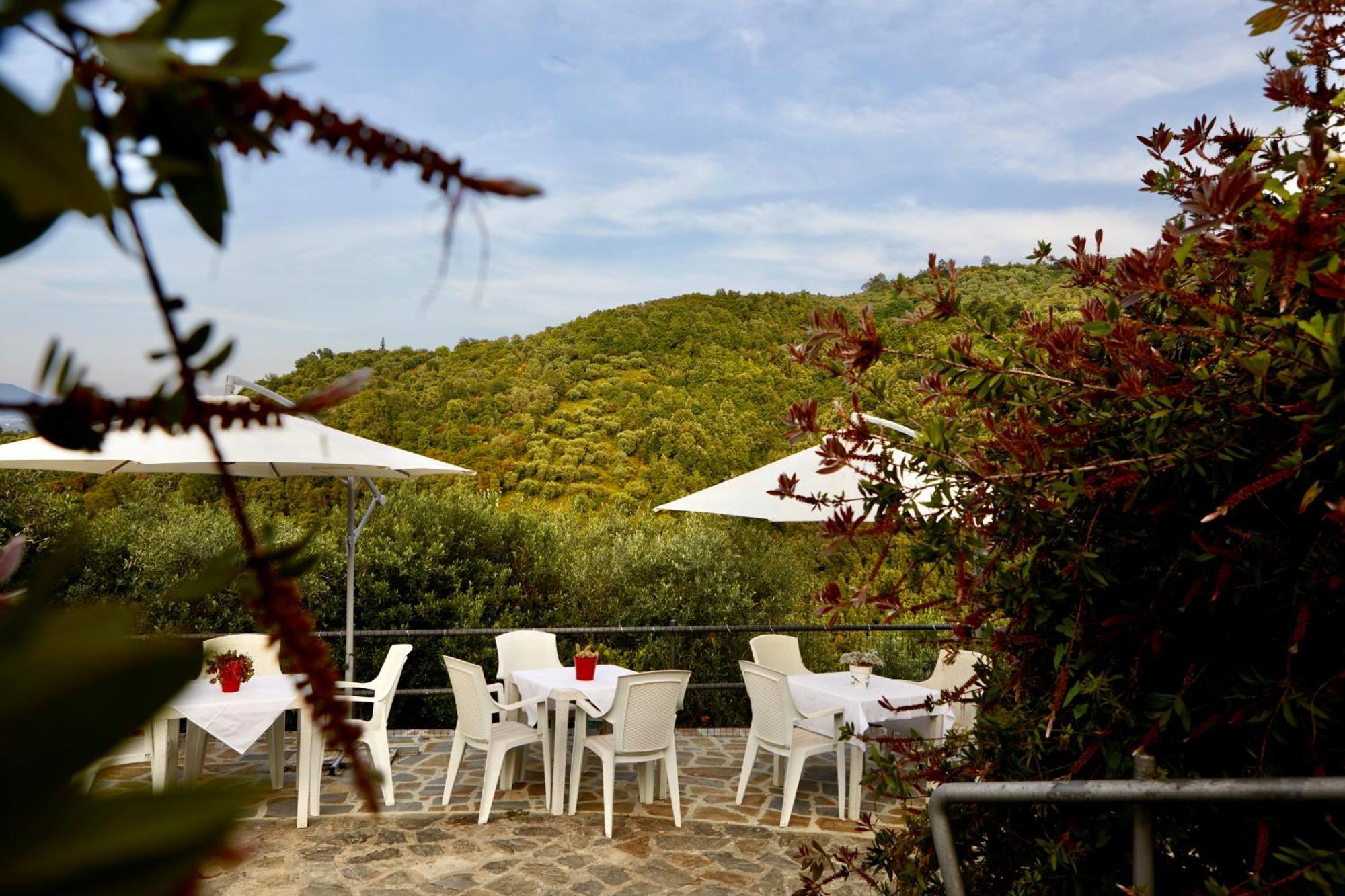 Il Vecchio Frantoio Villa Stella Cilento Dış mekan fotoğraf