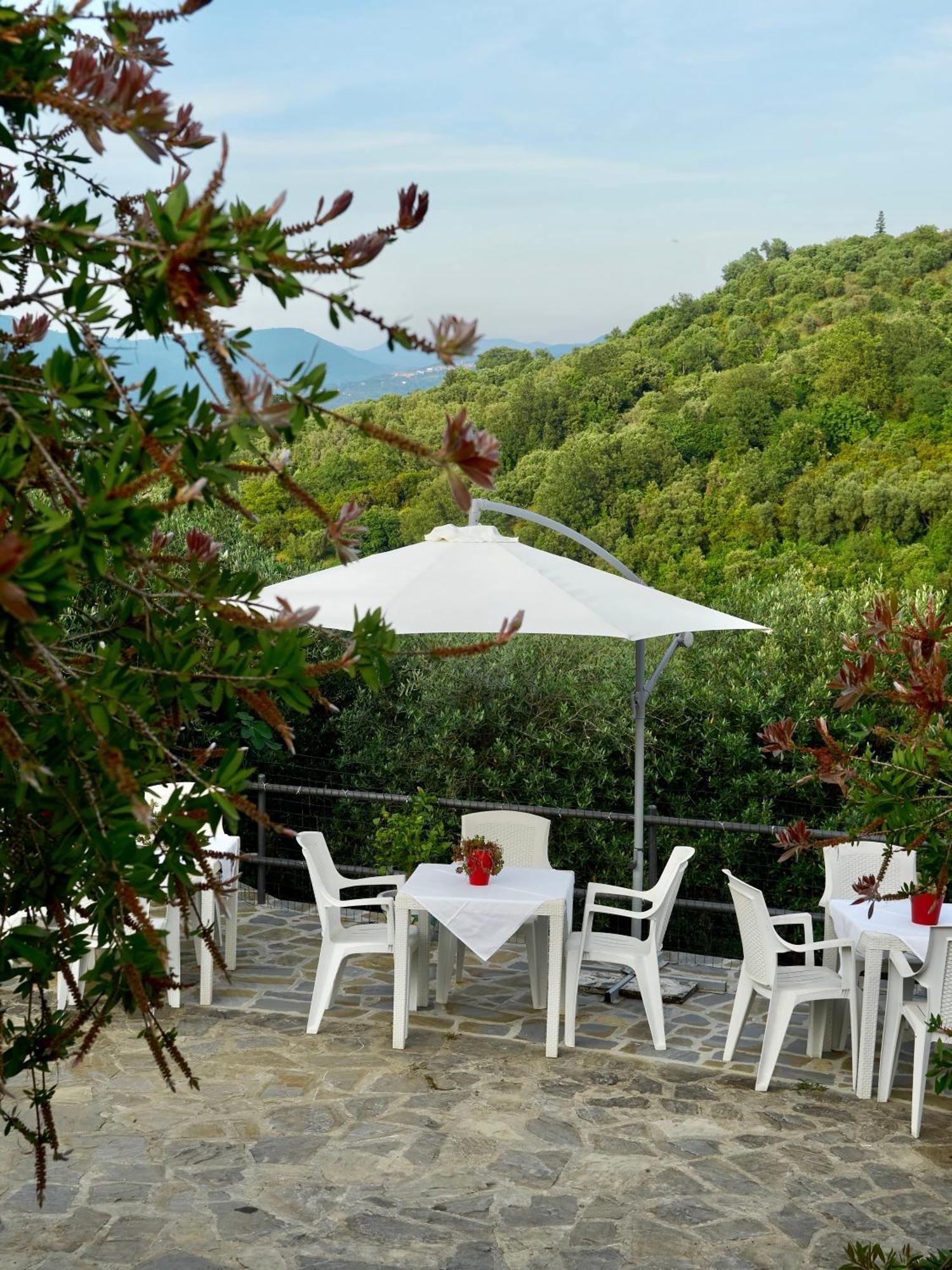 Il Vecchio Frantoio Villa Stella Cilento Dış mekan fotoğraf