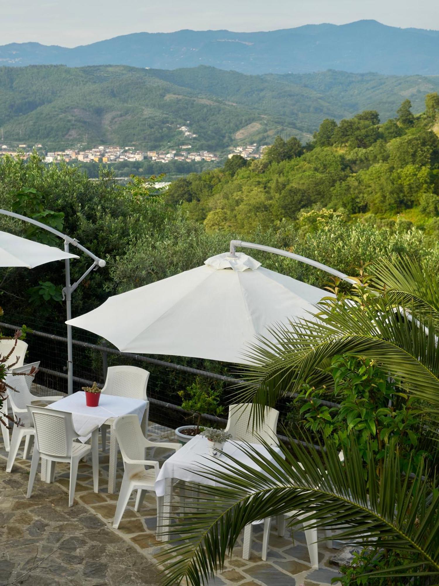 Il Vecchio Frantoio Villa Stella Cilento Dış mekan fotoğraf