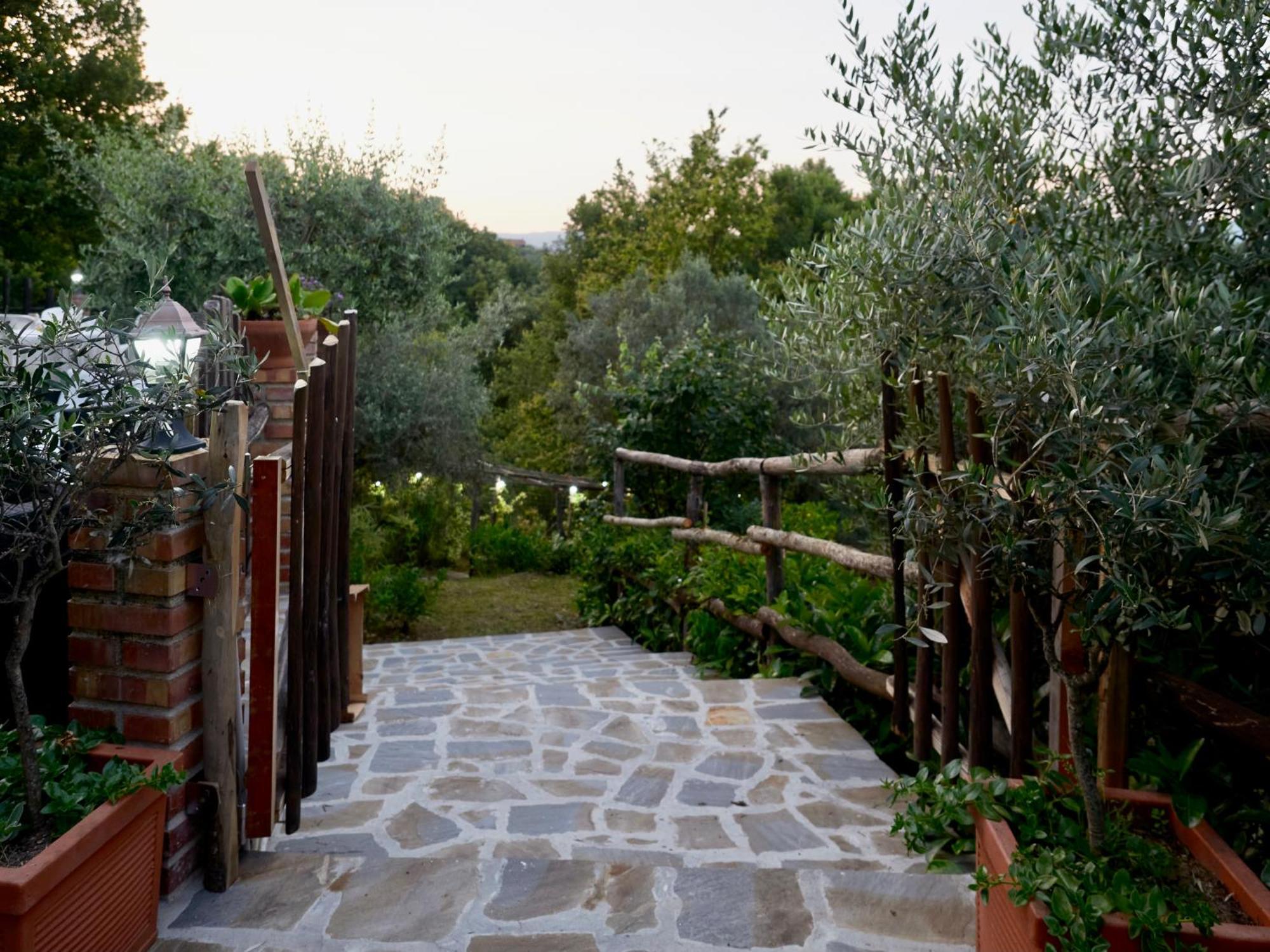 Il Vecchio Frantoio Villa Stella Cilento Dış mekan fotoğraf