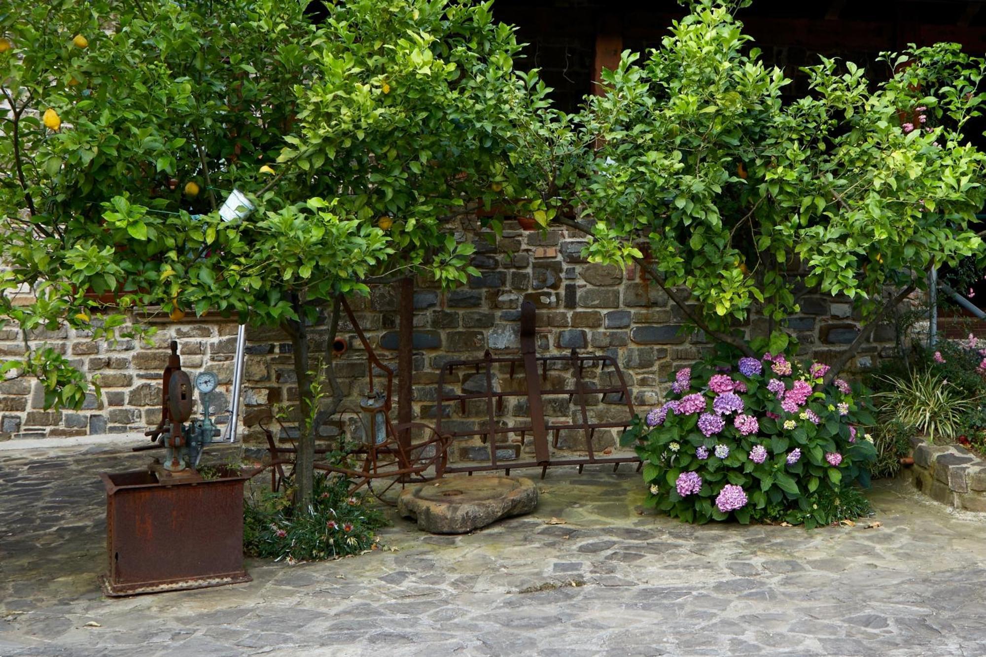 Il Vecchio Frantoio Villa Stella Cilento Dış mekan fotoğraf